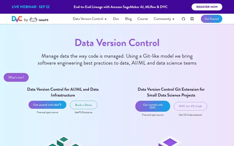 Screenshot of DVC (Data Version Control)