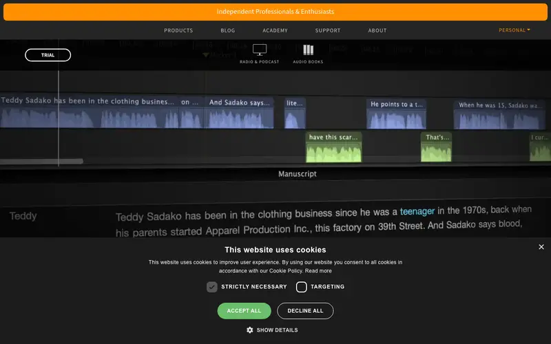 Screenshot of Hindenburg Journalist