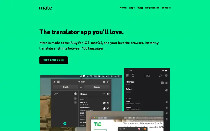 Screenshot of Mate Translate