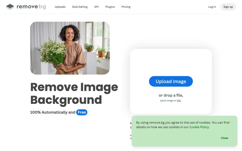 Screenshot of remove.bg
