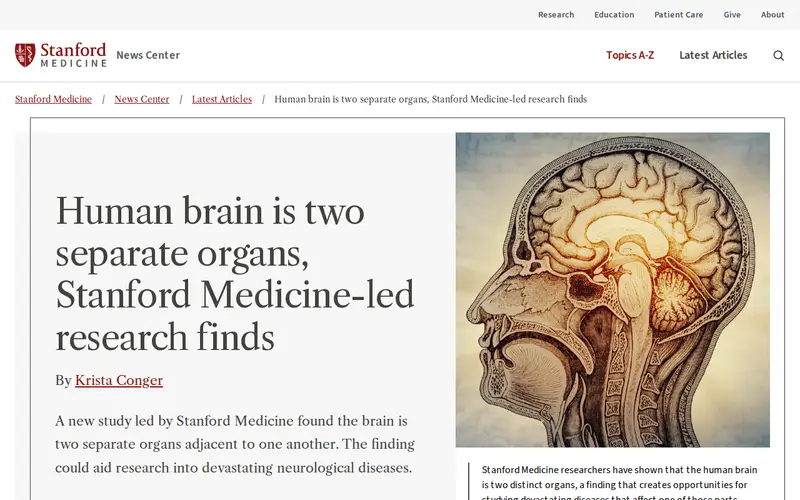 Screenshot of Human brain is two separate organs, Stanford Medicine-led research finds